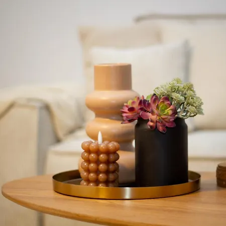 Penthouse-ferienwohnung Mit Dachterrasse Wlan Smart-tv Ueberdachter Parkplatz Wallbox Apartmán *